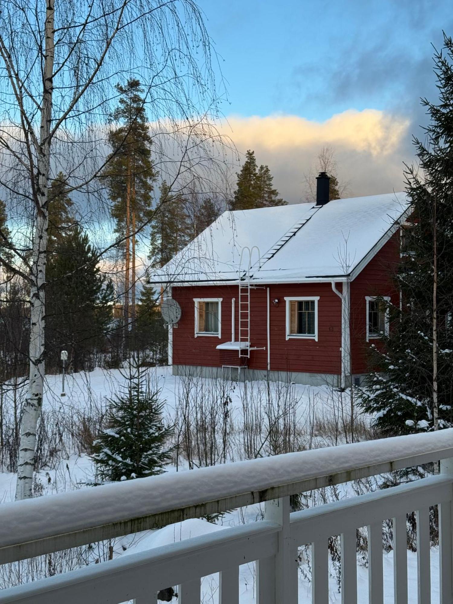 Tiiringolf Cottages Nilsiä エクステリア 写真