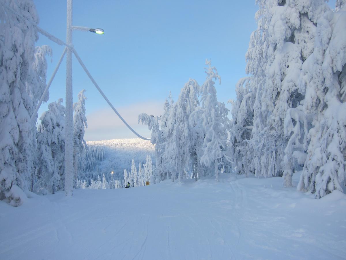 Tiiringolf Cottages Nilsiä エクステリア 写真