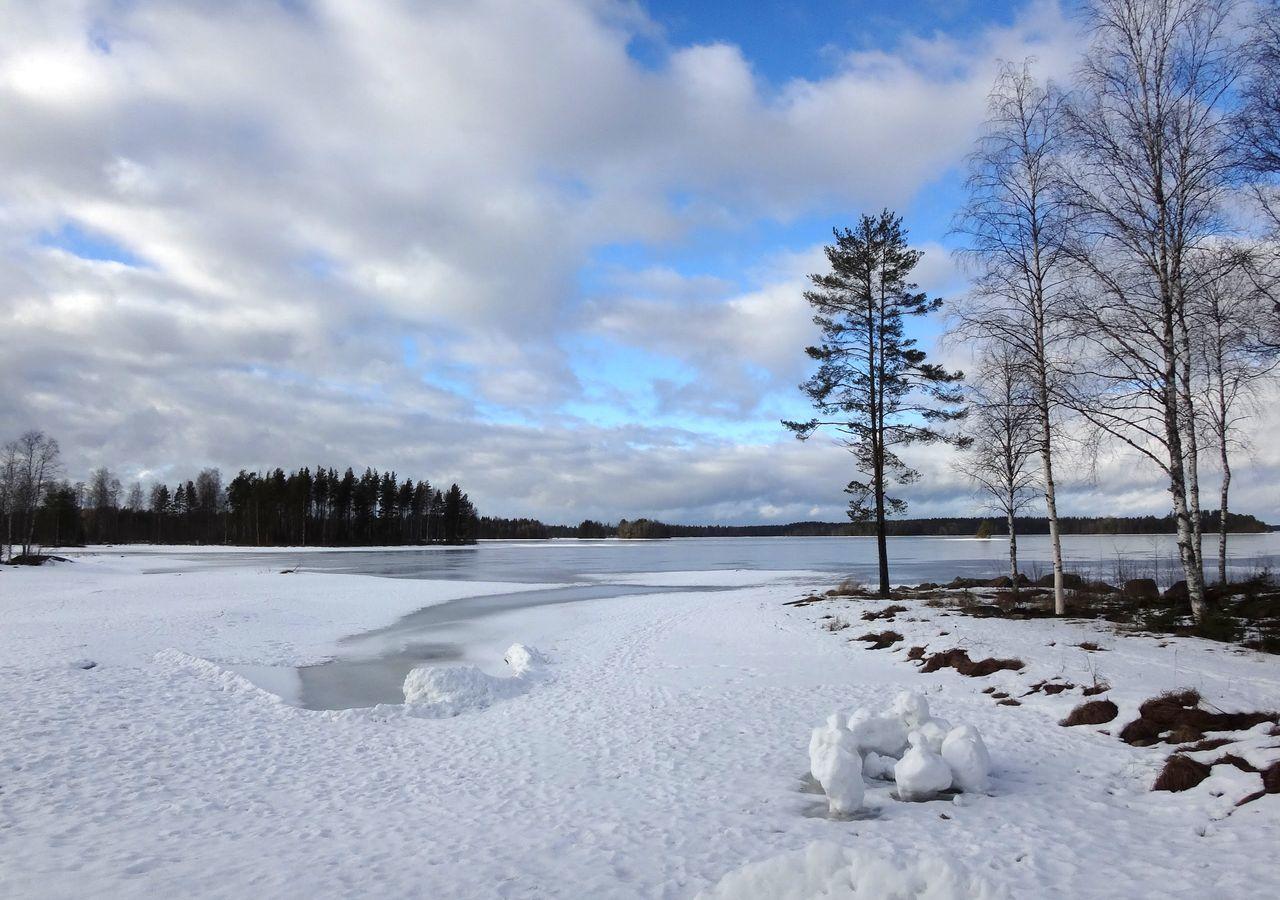 Tiiringolf Cottages Nilsiä エクステリア 写真